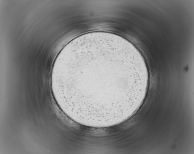 X0000115731338200912101443