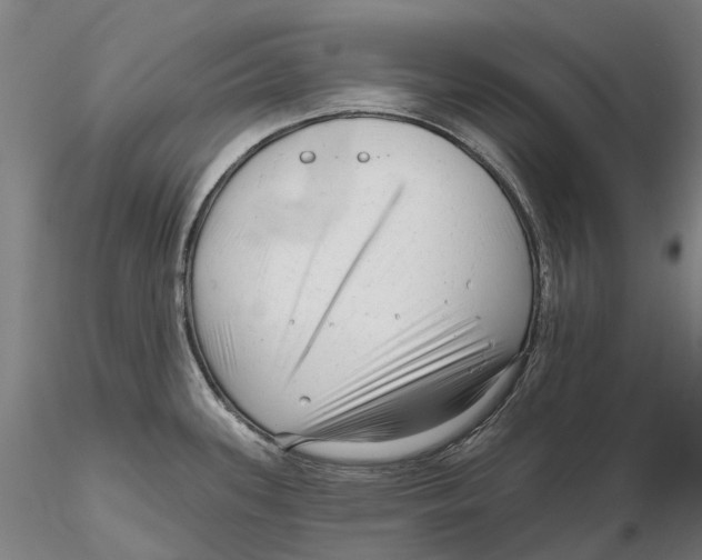 X0000115731339200912101443