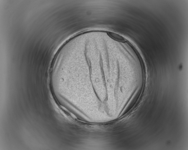 X0000115731341200912101443