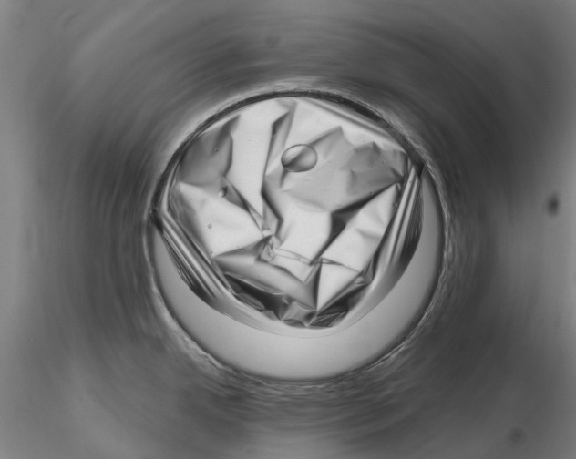 X0000115731342200912101443