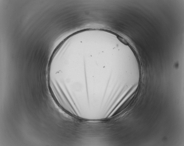 X0000115731343200912101443