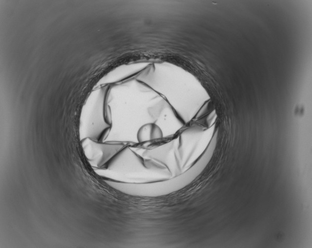 X0000115731345200912101442