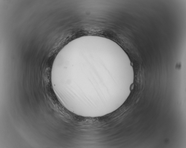 X0000115731346200912101442