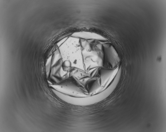 X0000115731348200912101442
