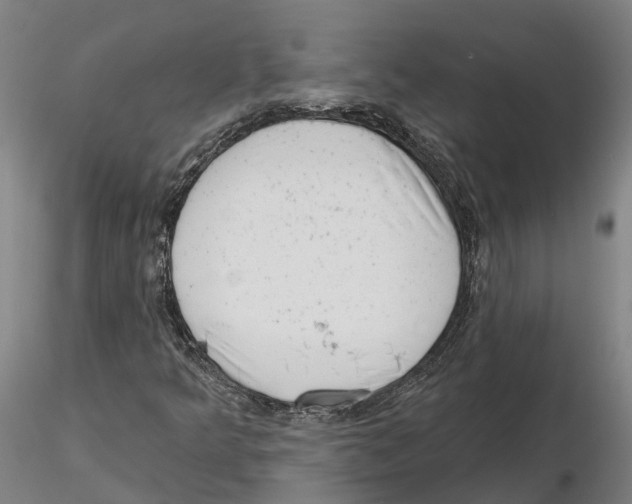 X0000115731349200912101442