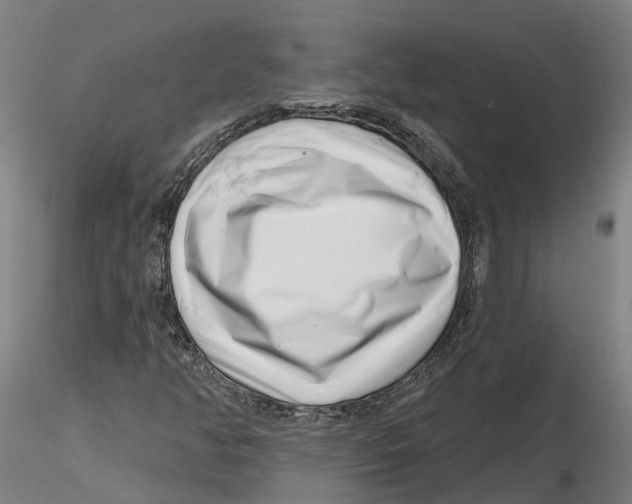 X0000115731350200912101442