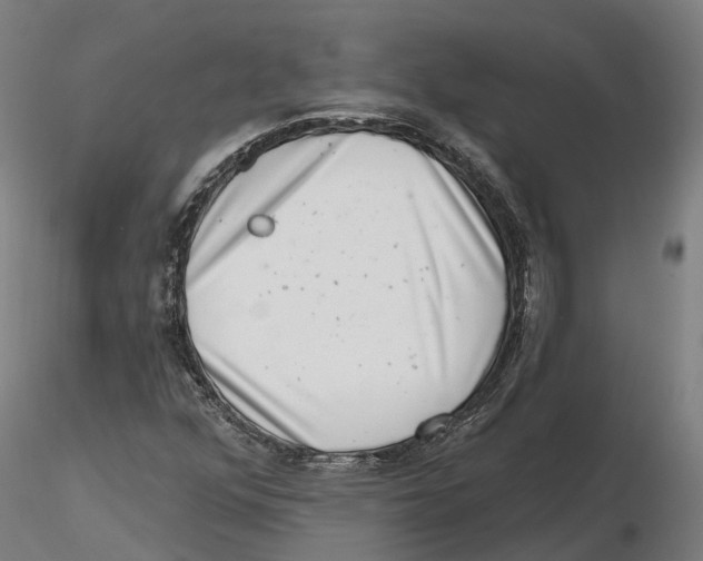 X0000115731352200912101442
