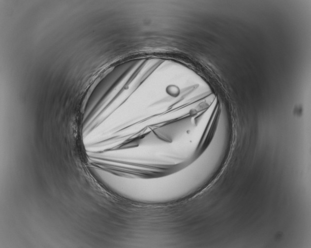 X0000115731353200912101442
