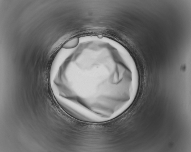 X0000115731354200912101442