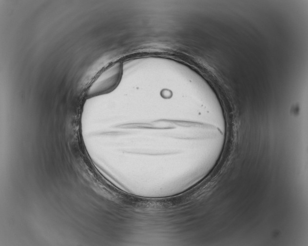 X0000115731355200912101442