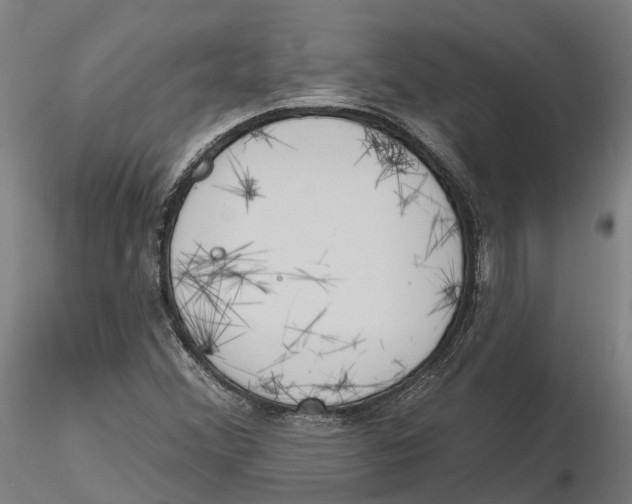 X0000115731356200912101442