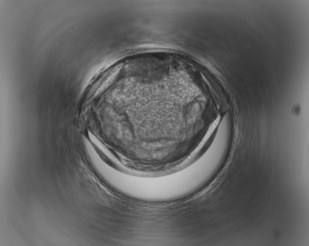 X0000115731357200912101442