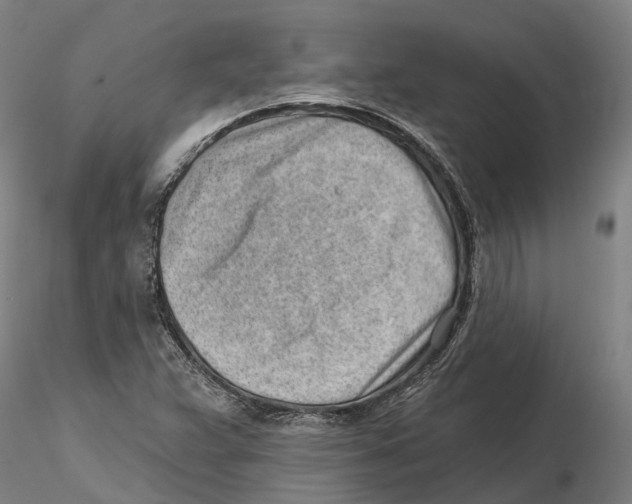 X0000115731359200912101442