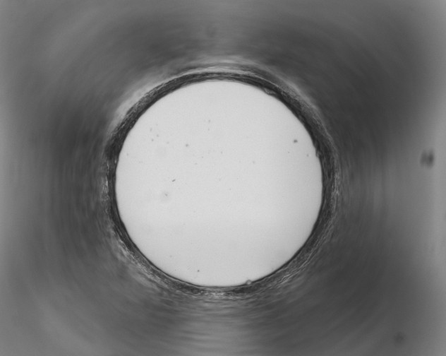 X0000115731360200912101442