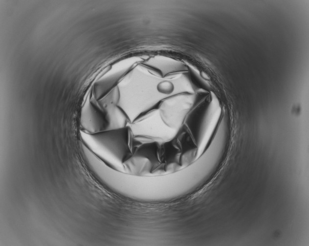 X0000115731361200912101442