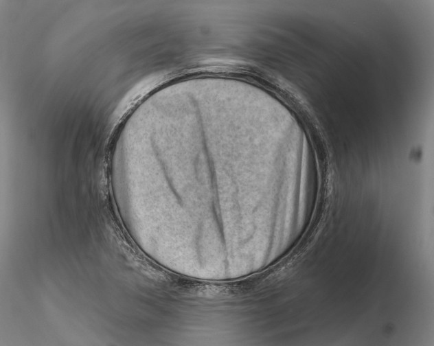 X0000115731362200912101442
