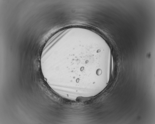 X0000115731363200912101442