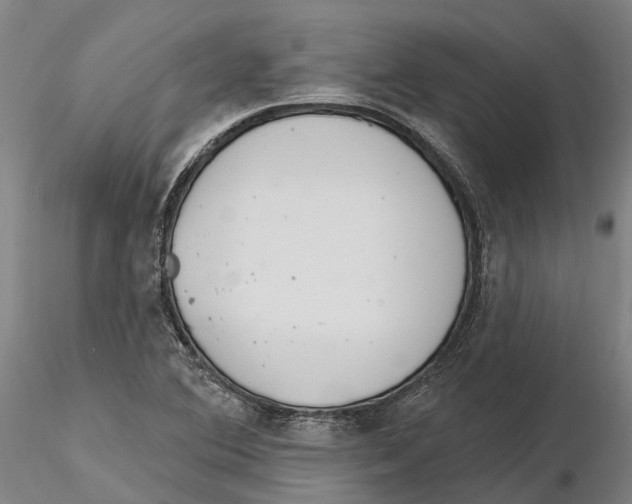 X0000115731364200912101442