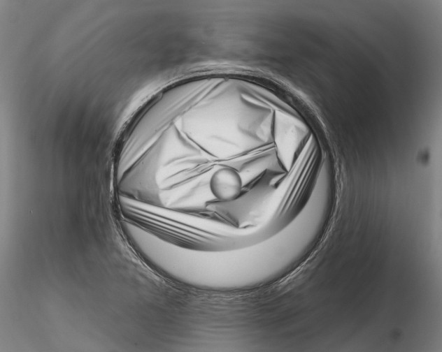 X0000115731365200912101442