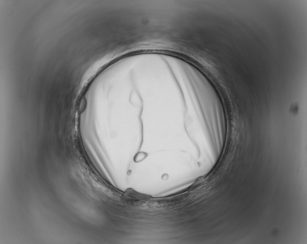 X0000115731366200912101442