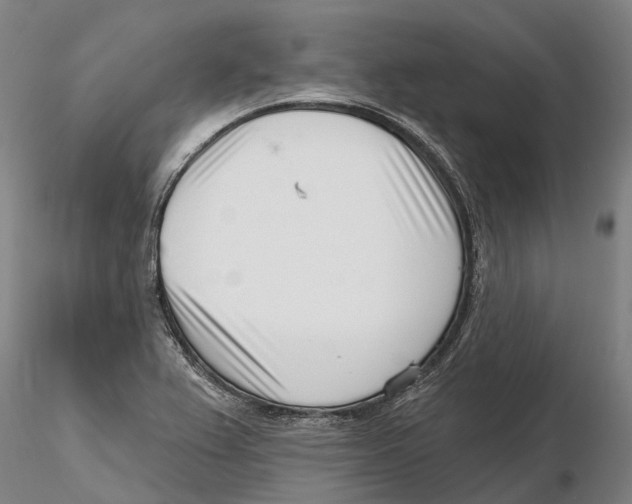 X0000115731367200912101442