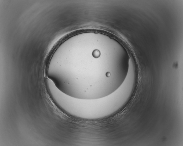 X0000115731368200912101442