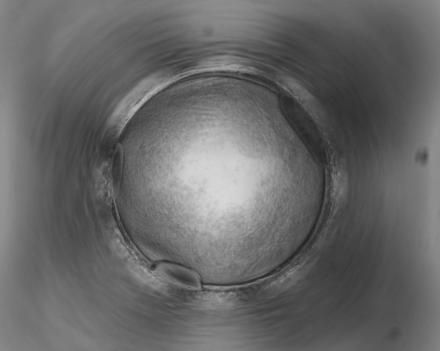 X0000115731369200912101442