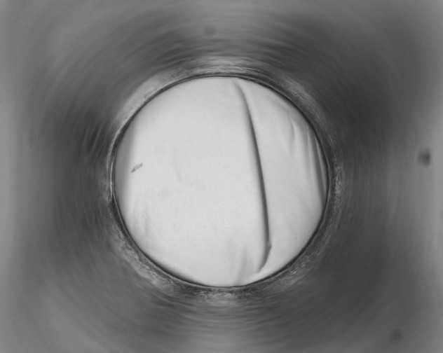 X0000115731370200912101442