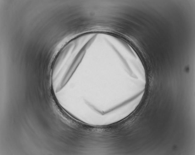 X0000115731371200912101442
