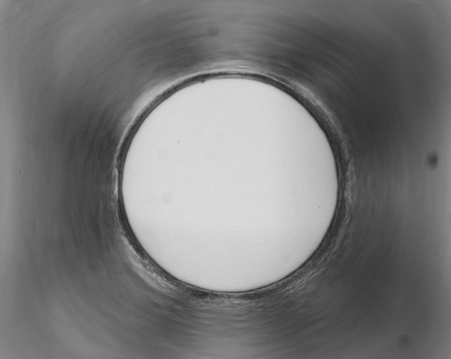 X0000115731372200912101442