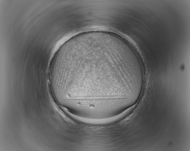 X0000115731373200912101441
