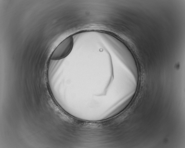 X0000115731374200912101441