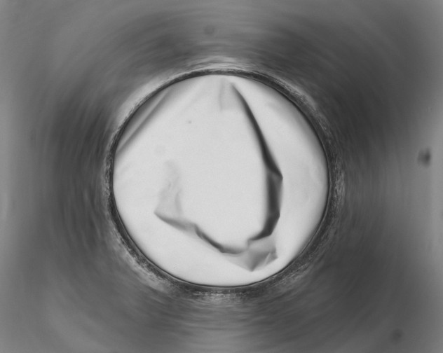 X0000115731375200912101441
