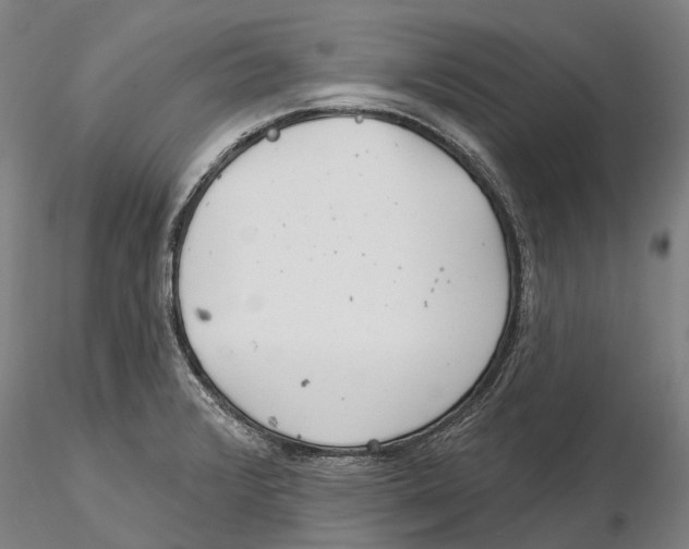 X0000115731376200912101441
