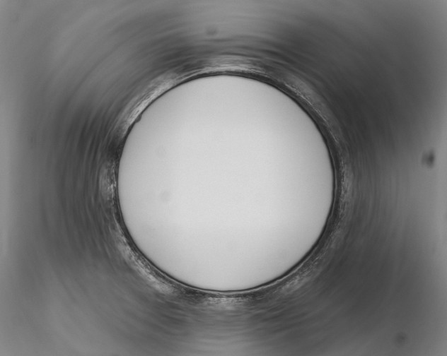 X0000115731377200912101441