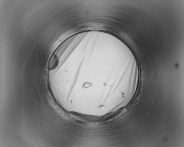 X0000115731378200912101441