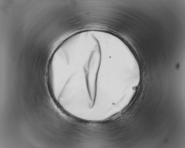 X0000115731379200912101441