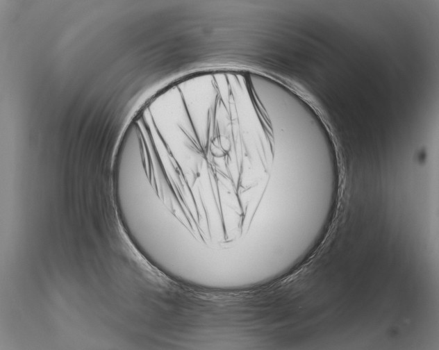 X0000115731380200912101441