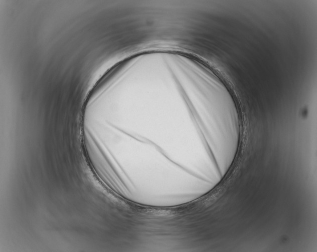 X0000115731382200912101441
