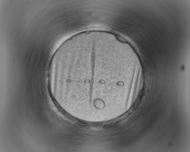 X0000115731383200912101441