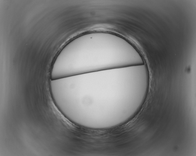 X0000115731384200912101441