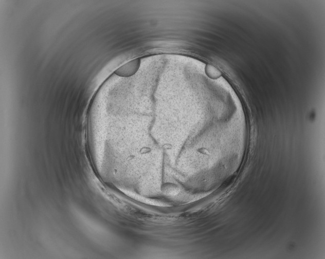 X0000115731386200912101441