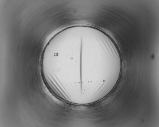 X0000115731387200912101441