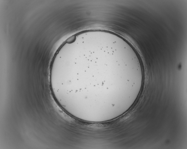 X0000115731388200912101441