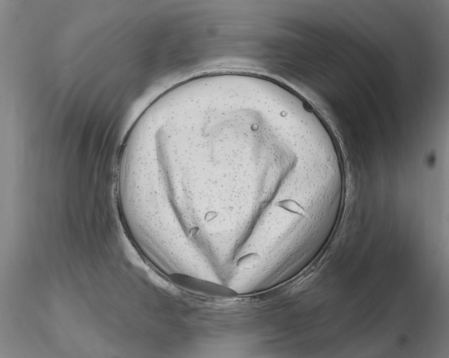X0000115731390200912101441