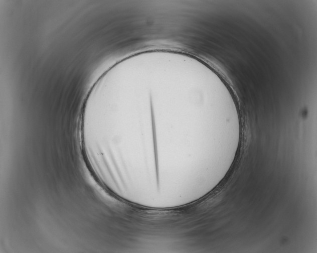 X0000115731391200912101441