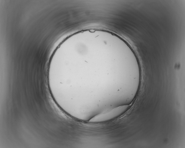 X0000115731392200912101441