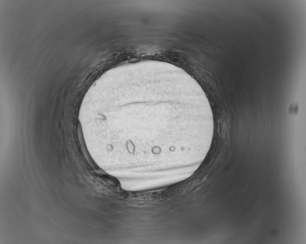 X0000115731393200912101440