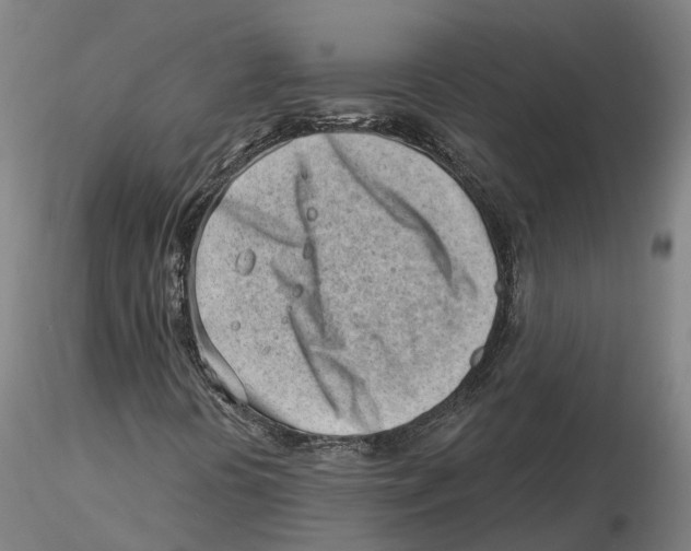 X0000115731394200912101441