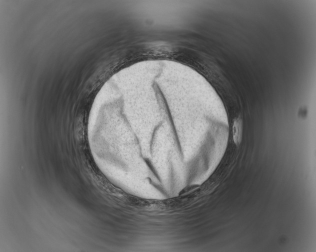 X0000115731395200912101441